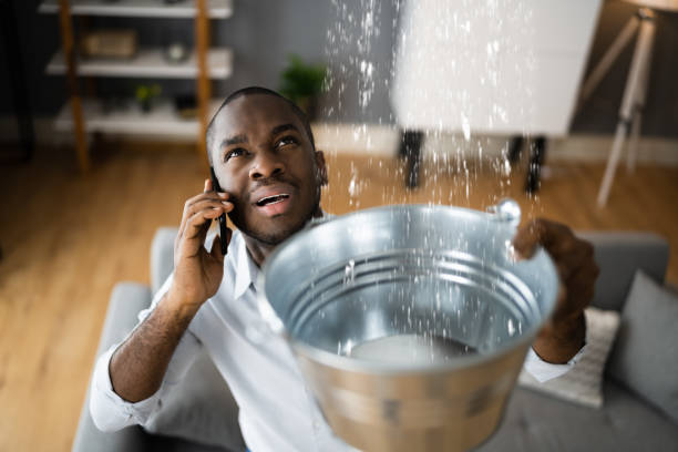 Best Residential water damage restoration  in Maurice, LA
