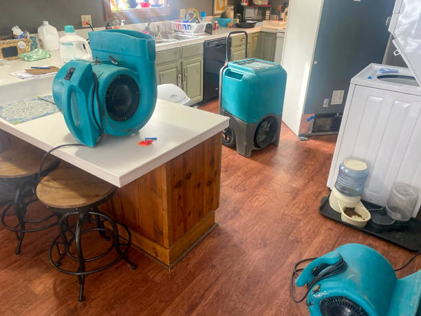 Best Fire Damage Restoration  in Maurice, LA