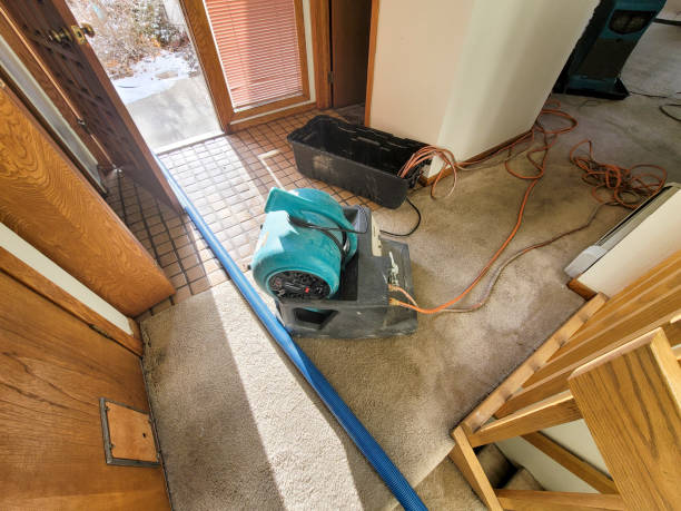 Best Water damage cleanup near me  in Maurice, LA