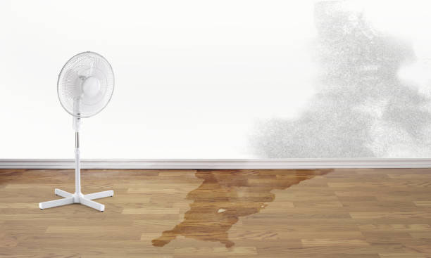 Fire Damage Restoration in Maurice, LA