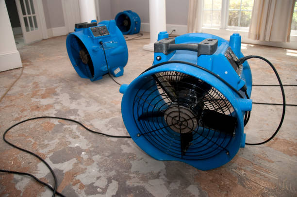 Best Basement water damage restoration  in Maurice, LA